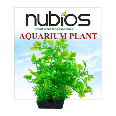 Nubios Plastik Bitki Kare Tabanlı Tekli Karton 10 Cm - 1