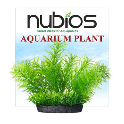 Nubios Plastik Bitki Kare Tabanlı Tekli Karton 10 Cm - 1