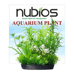 Nubios Plastik Bitki Kare Tabanlı Tekli Karton 10 Cm - Nubios