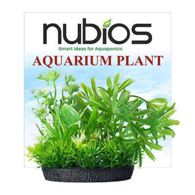 Nubios Plastik Bitki Kare Tabanlı Tekli Karton 10 Cm - 1