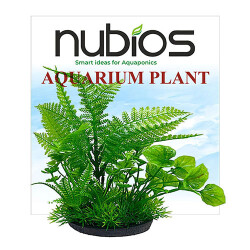 Nubios Plastik Bitki Kare Tabanlı Tekli Karton 17,5 Cm - Nubios