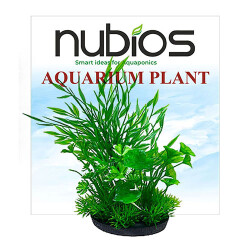 Nubios Plastik Bitki Kare Tabanlı Tekli Karton 17,5 Cm - Nubios