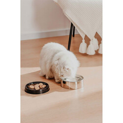 Pawgether Bowl 2 Kedi ve Küçük Irk Köpek Çelik Mama ve Su Kabı 400 Ml - 3