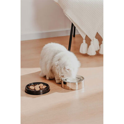 Pawgether Bowl 2 Kedi ve Küçük Irk Köpek Çelik Mama ve Su Kabı 400 Ml - 3