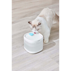 Pawgether Pure 3S Kedi ve Küçük Irk Köpek Otomatik Su Kabı 2000 Ml - 3