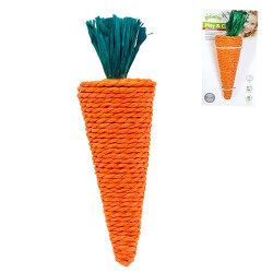 Pawise Mısır Püsküllü Havuç Kemirgen Çiğneme Oyuncağı 20 Cm - Pawise