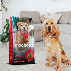Pro Choice Fit Healthy Kuzulu ve Pirinçli Yetişkin Köpek Maması 12 Kg - 2