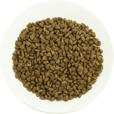 Pro Choice Pro 34 Somonlu ve Pirinçli Yetişkin Kedi Maması 2 Kg - 3