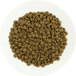 Pro Choice Pro 36 Kuzulu ve Pirinçli Yetişkin Kedi Maması 2 Kg - 3