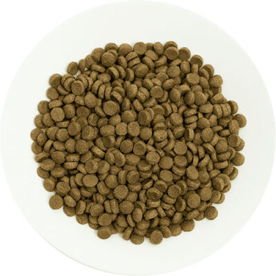 Pro Choice Pro 36 Kuzulu ve Pirinçli Yetişkin Kedi Maması 2 Kg - 3