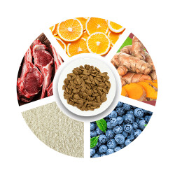 Pro Choice Proderma Kuzulu ve Pirinçli Yetişkin Köpek Maması 18 Kg - 3