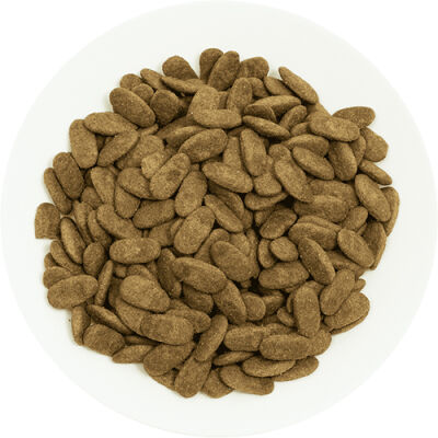 Pro Choice Proderma Kuzulu ve Pirinçli Yetişkin Köpek Maması 18 Kg - 2