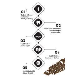 Pro Performance Kuzulu ve Yaban Mersinli Küçük Irk Yavru Köpek Maması 12 Kg - 3