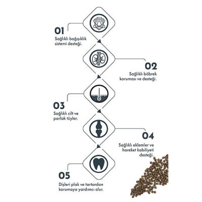 Pro Performance Kuzulu ve Yaban Mersinli Küçük Irk Yavru Köpek Maması 7 Kg - 2