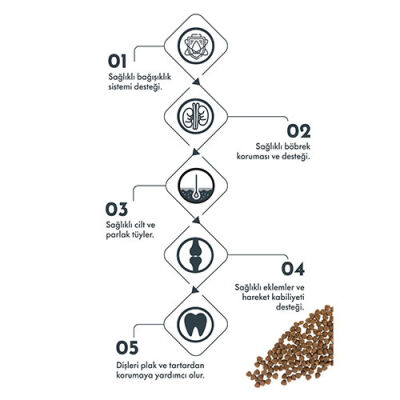Pro Performance Somonlu ve Yaban Mersinli Küçük Irk Yetişkin Köpek Maması 2 Kg - 3