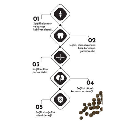 Pro Performance Somonlu ve Yaban Mersinli Orta ve Büyük Irk Yavru Köpek Maması 12 Kg - 3
