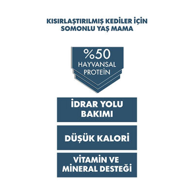 Pro Performance Ultra Premium Somonlu Kısırlaştırılmış Kedi Konservesi 400 Gr - 3