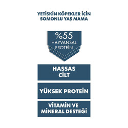 Pro Performance Ultra Premium Somonlu Yetişkin Köpek Konservesi 400 Gr - 3