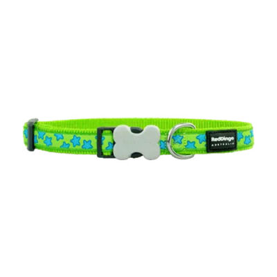 Reddingo Lime Üzerine Turkuaz Yıldızlı Köpek Boyun Tasması Small 15 Mm 24-36 Cm - 1