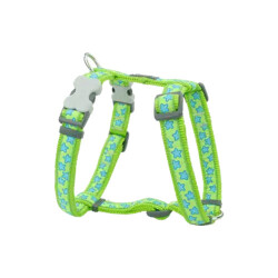 Reddingo Lime Üzerine Turkuaz Yıldızlı Köpek Göğüs Tasması Large 25 Mm - Reddingo