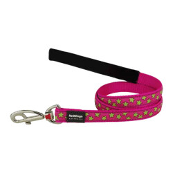 Reddingo Pembe Üzerine Lime Yıldızlı Köpek Uzatma Tasması Medium 20 Mm 1,2 Mt - Reddingo