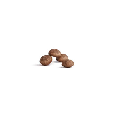 Royal Canin Ageing 11+ Yaş Üzeri Yaşlı Kedi Maması 2 Kg - 2