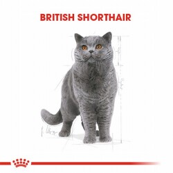 Royal Canin British Shorthair Adult Pouch Yetişkin Kedi Konservesi 6 Adet 85 Gr - 2