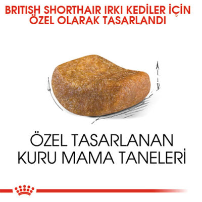Royal Canin British Shorthair Adult Yetişkin Kedi Maması 4 Kg - 3