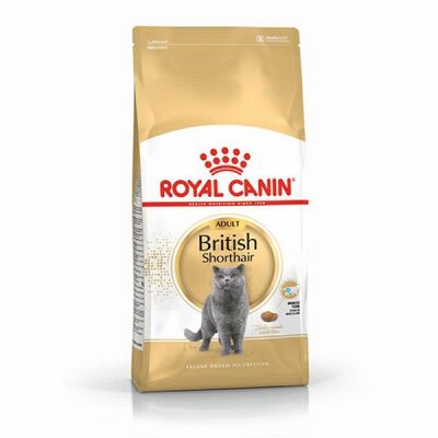 Royal Canin British Shorthair Adult Yetişkin Kedi Maması 400 Gr - 1