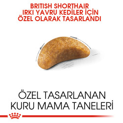 Royal Canin British Shorthair Kitten Yavru Kedi Maması 2 Kg - 3