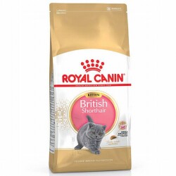 Royal Canin British Shorthair Kitten Yavru Kedi Maması 2 Kg - Royal Canin