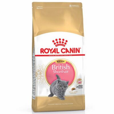 Royal Canin British Shorthair Kitten Yavru Kedi Maması 2 Kg - 1