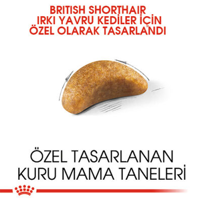 Royal Canin British Shorthair Kitten Yavru Kedi Maması 2 Kg - 3