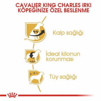 Royal Canin Cavalier King Charles Adult Yetişkin Köpek Maması 1,5 Kg - 2