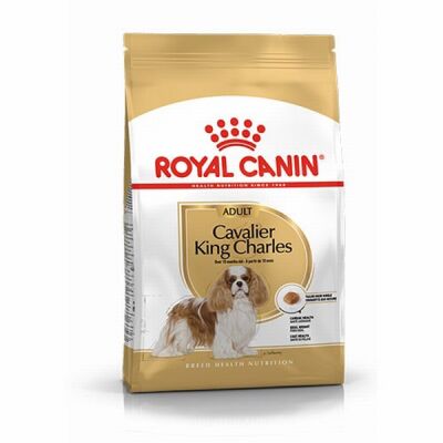 Royal Canin Cavalier King Charles Adult Yetişkin Köpek Maması 3 Kg - 1