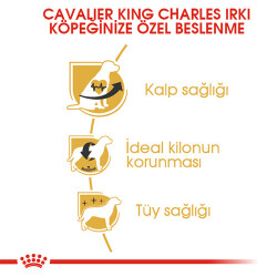 Royal Canin Cavalier King Charles Adult Yetişkin Köpek Maması 3 Kg - 2