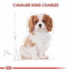 Royal Canin Cavalier King Charles Puppy Yavru Köpek Maması 1,5 Kg - 2