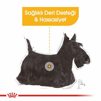 Royal Canin Ccn Dermacomfort Loaf Pate Pouch Küçük Irk Yetişkin Köpek Konservesi 6 Adet 85 Gr - 2