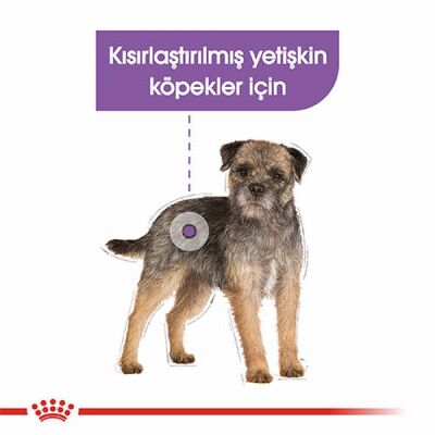 Royal Canin Ccn Sterilised Pouch Kısırlaştırılmış Köpek Konservesi 12 Adet 85 Gr - 2