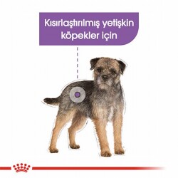 Royal Canin Ccn Sterilised Pouch Kısırlaştırılmış Köpek Konservesi 6 Adet 85 Gr - 2