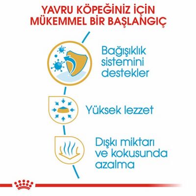 Royal Canin Chihuahua Puppy Yavru Köpek Maması 1,5 Kg - 3