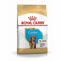 Royal Canin Cocker Spaniel Puppy Yavru Köpek Maması 3 Kg - Royal Canin