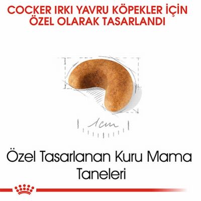 Royal Canin Cocker Spaniel Puppy Yavru Köpek Maması 3 Kg - 3