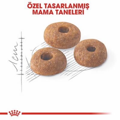 Royal Canin Fit 32 Adult Yetişkin Kedi Maması 2 Kg - 3