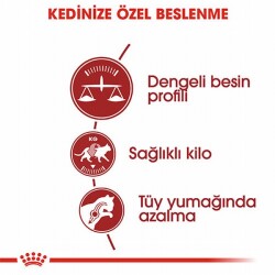 Royal Canin Fit 32 Adult Yetişkin Kedi Maması 4 Kg - 2