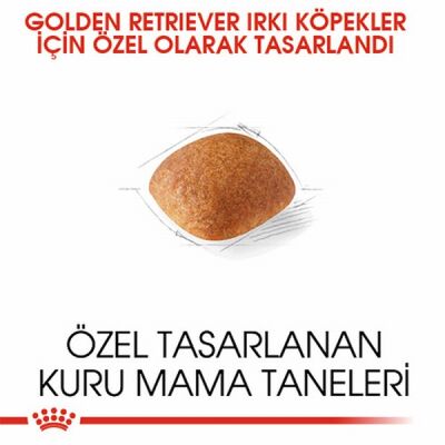 Royal Canin Golden Retriever Adult Yetişkin Köpek Maması 12 Kg - 2