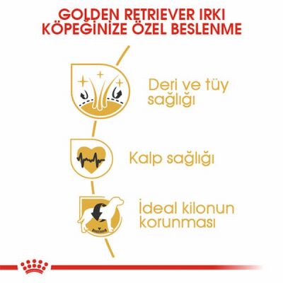 Royal Canin Golden Retriever Adult Yetişkin Köpek Maması 12 Kg - 3