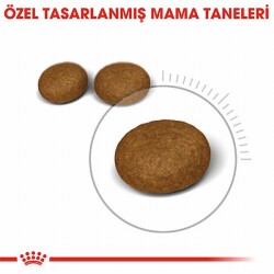 Royal Canin Hair Skin Adult Hassas Tüy Sağlığı Yetişkin Kedi Maması 4 Kg - 2