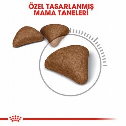 Royal Canin Hairball Tüy Yumağı Önleyici Yetişkin Kedi Maması 2 Kg - 3