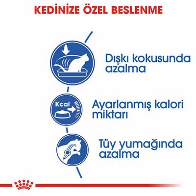 Royal Canin Indoor 27 Evde Yaşayan Yetişkin Kedi Maması 2 Kg - 3